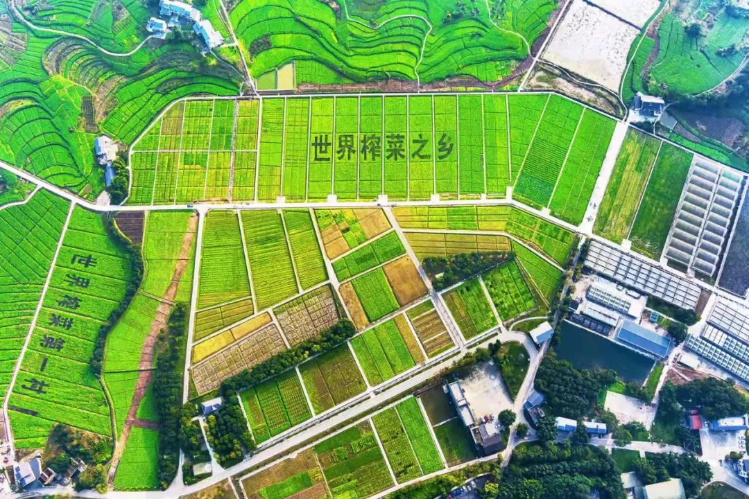 �ƶ�����3118(�й�)�ٷ���վ