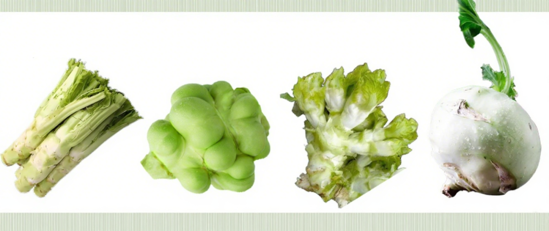 �ƶ�����3118(�й�)�ٷ���վ