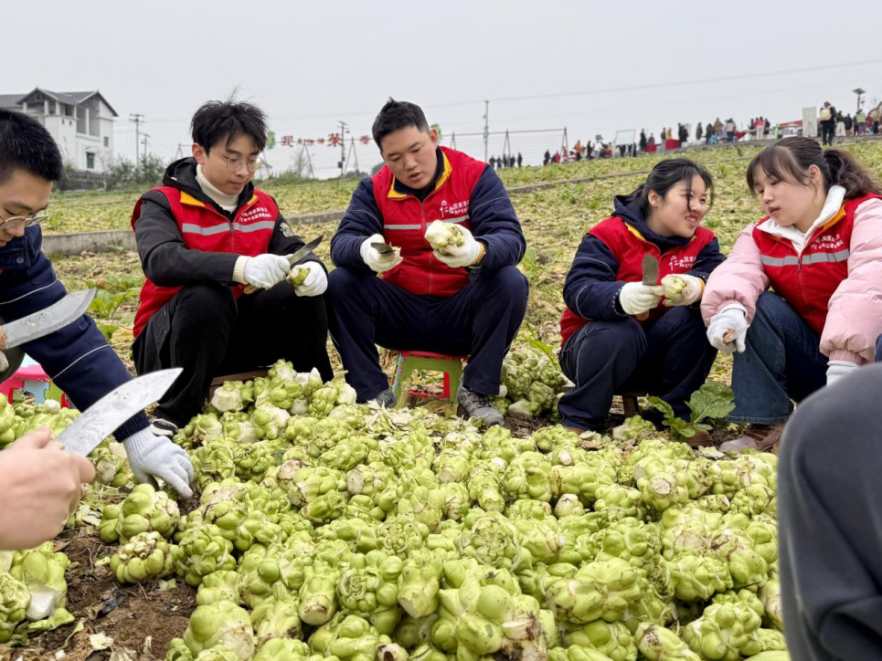 �ƶ�����3118(�й�)�ٷ���վ