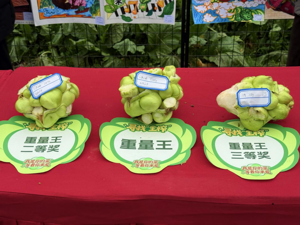 �ƶ�����3118(�й�)�ٷ���վ