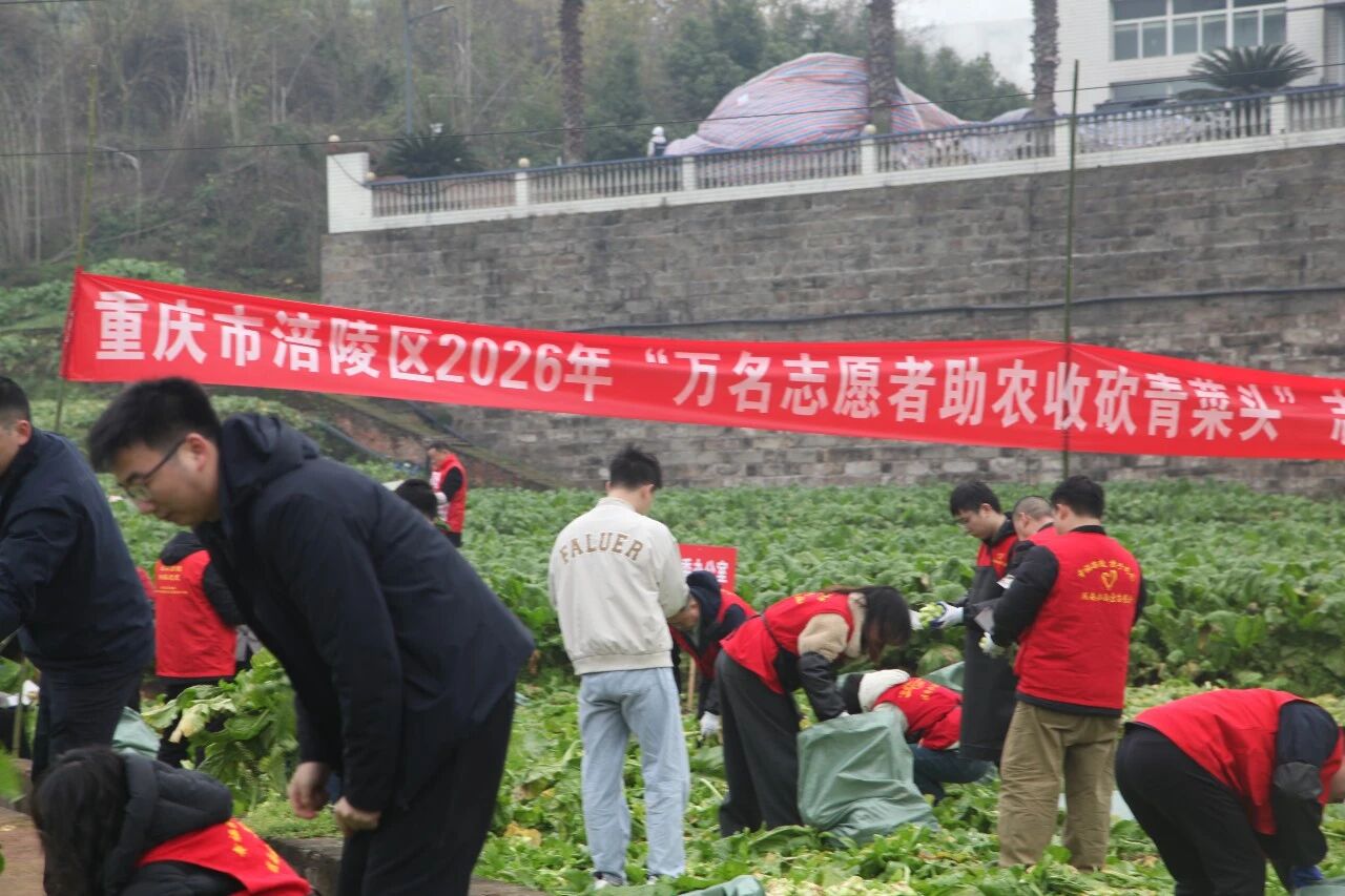 �ƶ�����3118(�й�)�ٷ���վ