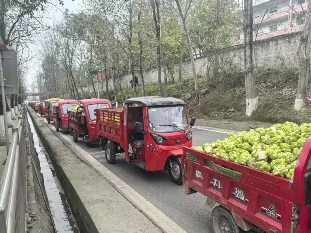 �ƶ�����3118(�й�)�ٷ���վ